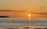 FREE wallpaper-Sunrises-Sunsets-98-Rise-Trial-Island-Lighthouse-from-Clover-Point-Victoria-B.C-2011-11-01-WS