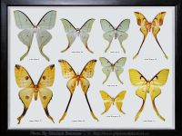 My-Collection-Box-15-ACTIAS