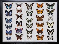 My-Collection-Box-7-MIX