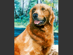 Page-33-MPE-55-Bobby-Golden-Retriever-DETAIL