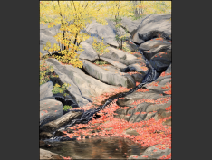 Page-45-MPE-67-Luskville-Falls-number-1