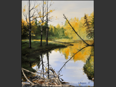 Page-46-MPE-69-Luskville-Falls-number-2