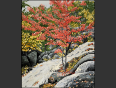 Page-48-MPE-71-Luskville-Falls-number-4