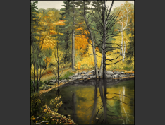 Page-51-MPE-74-Luskville-Falls-number-6