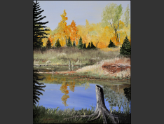 Page-55-MPE-78-Swamp-at-Meach-Lake