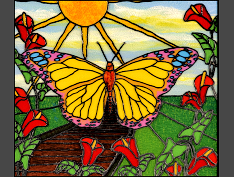 Page-64-MPE-83-Butterfly-number-1