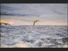 Page-73-MPE-98-Ucluelet-number-3