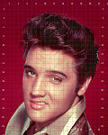PTD-ELVIS-PRESLEY-2-24X30-GRID