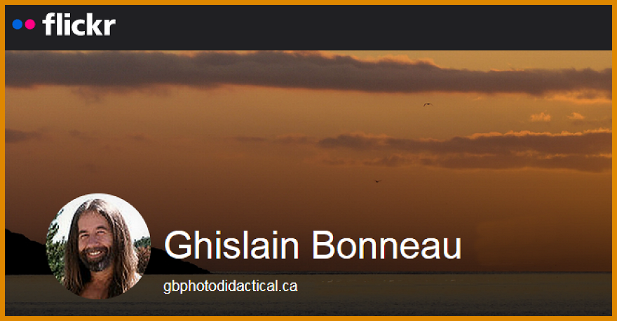 LINK TO MY FLICKR PORTAL