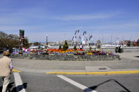 B.C.Y.B.A.-30-Victoria-Boat-show-2012-04-21
