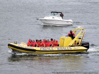 Photo-BOATS-100-2008-06-26-WHALE-WATCHING