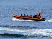 Photo-BOATS-104-2009-09-21-WHALE-WATCHING