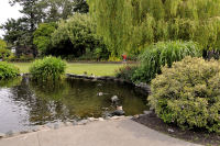 Photo-Beacon-Hill-Park-143-Duck-Paradise-2012-06-26