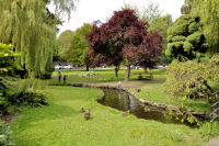 Photo-Beacon-Hill-Park-145-Park-in-front-of-the-Petting-Zoo-2012-06-26