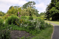 Photo-Beacon-Hill-Park-150-Flower-Bed-2012-06-26