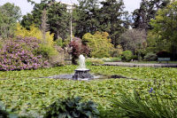 Photo-Beacon-Hill-Park-17-Fontain-2012-06-19