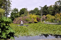 Photo-Beacon-Hill-Park-20-2012-06-19