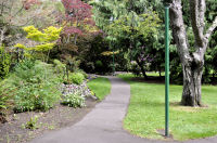 Photo-Beacon-Hill-Park-26-Trail-2012-06-19