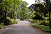 Photo-Beacon-Hill-Park-37-Road-to-the-Bridge-2012-06-19
