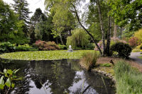 Photo-Beacon-Hill-Park-79-Beautiful-Fontain-2012-06-19