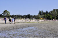 Photo-Cadboro-Bay-35-2011-07-30-Cadboro-Bay-Beach-view