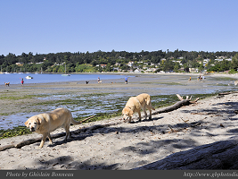 PAGE PHOTO Cadboro Bay & Gyro Park 
