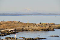 Photo-Cattle-Point-34-Victoria-B.C-2011-09-03-Peoples-at-Cattle-Point