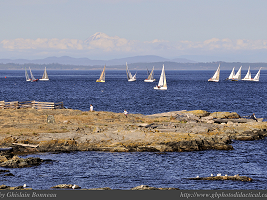 PAGE PHOTO Cattle Point - Victoria, B.C. 