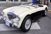 Photo-Collector-Car-Festival-60-1956-Austin-Healey-Le-Mans-2011-08-14