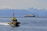 Photo-Cruise-Ships-109-Ansterdam-Coming-in-Victoria-2012-08-09