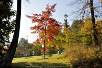 Photo-Esquimalt-Gorge-Park-8-2011-10-16-In-The-Park-Victoria-B.C