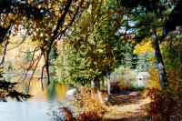 Photo-Gatineau-118-1995-PHILIPPE-Lake-Trail-Parc-de-la-Gatineau