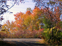 Photo-Gatineau-95-Trail-behind-Asticou-center-Parc-de-la-Gatineau-2004-10-22