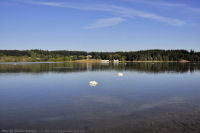 Ocean-Blvd-07-2011-09-04-View-of-the-Lagoon-at-Ocean-Blvd-Victoria-B.C