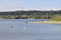 Ocean-Blvd-25-2011-09-17-Ocean-Blvd-Lagoon-180-degre-View-Right