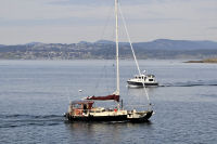 Ogden-Point-28-and-Boats-2012-04-22