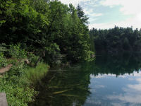 Photo-Pink-Lake-14-View-of-the-Lake-Parc-de-la-Gatineau-2009-07-06