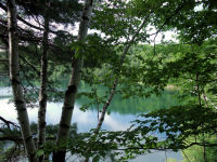 Photo-Pink-Lake-20-View-of-the-Lake-Parc-de-la-Gatineau-2009-07-06