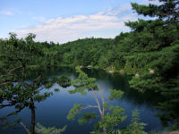 Photo-Pink-Lake-30-View-of-the-Lake-Parc-de-la-Gatineau-2009-07-06