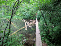 Photo-Pink-Lake-65-View-of-the-Trail-arc-de-la-Gatineau-2009-07-06
