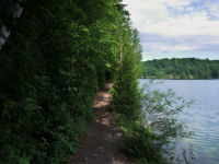 Photo-Pink-Lake-75-View-of-the-Trail-and-Lake-Parc-de-la-Gatineau-2009-07-06