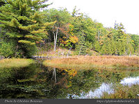 Photo-Pink-Lake-Gatineau-71-at-2-29-PM