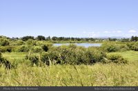 Photo-SWAN-Lake-28-SWAN-LAKE-2014-06-05