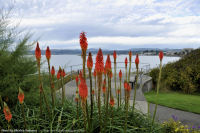 Saxe-Point-Park-13-2011-09-30-View-East-Victoria-B.C