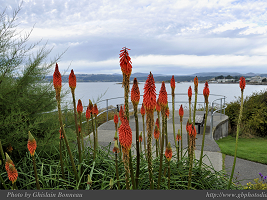 PAGE PHOTO Saxe Point Park, Victoria, B.C.