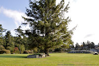 Photo-Saxe-Point-Park-51-2011-10-25-View-North-East-of-the-Park