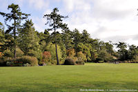 Photo-Saxe-Point-Park-53-2011-10-25-View-North-of-the-Park