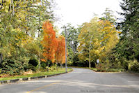 Photo-Saxe-Point-Park-75-2011-10-25-Leaving-the-Park