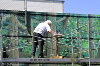 Photo-Trip-to-Port-Angeles-32-2010-07-23-ARTIST-PAINTING-A-MURAL