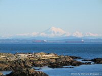 Photo-Victoria-11-2007-01-26-MOUNT-BAKER-VICTORIA-B.C